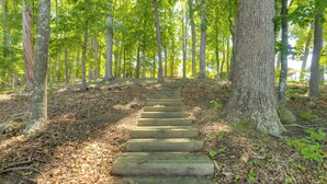 A wooden staircase in a forested area with trees and a clear sky.