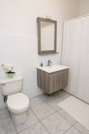 A bathroom with a toilet, sink, mirror, and shower curtain. - Spacious 1BR Apt Steps from Beach and Old San Juan (San Juan)