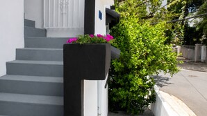 Una scala conduce all'ingresso di un edificio, con un vaso di fiori e un albero accanto ai gradini.