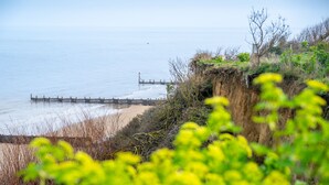 Paesaggio costiero con un molo di legno che si protende verso il mare, una spiaggia sabbiosa e una scogliera con vegetazione.
