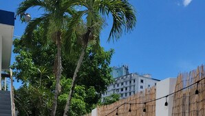 A concrete pathway leading to a white wall with bamboo fencing, a palm tree, and a building in the background. - Cozy Family Apartment at San Juan (San Juan)