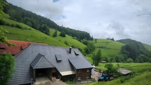 Esterni