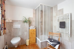 Shower, hair dryer, towels