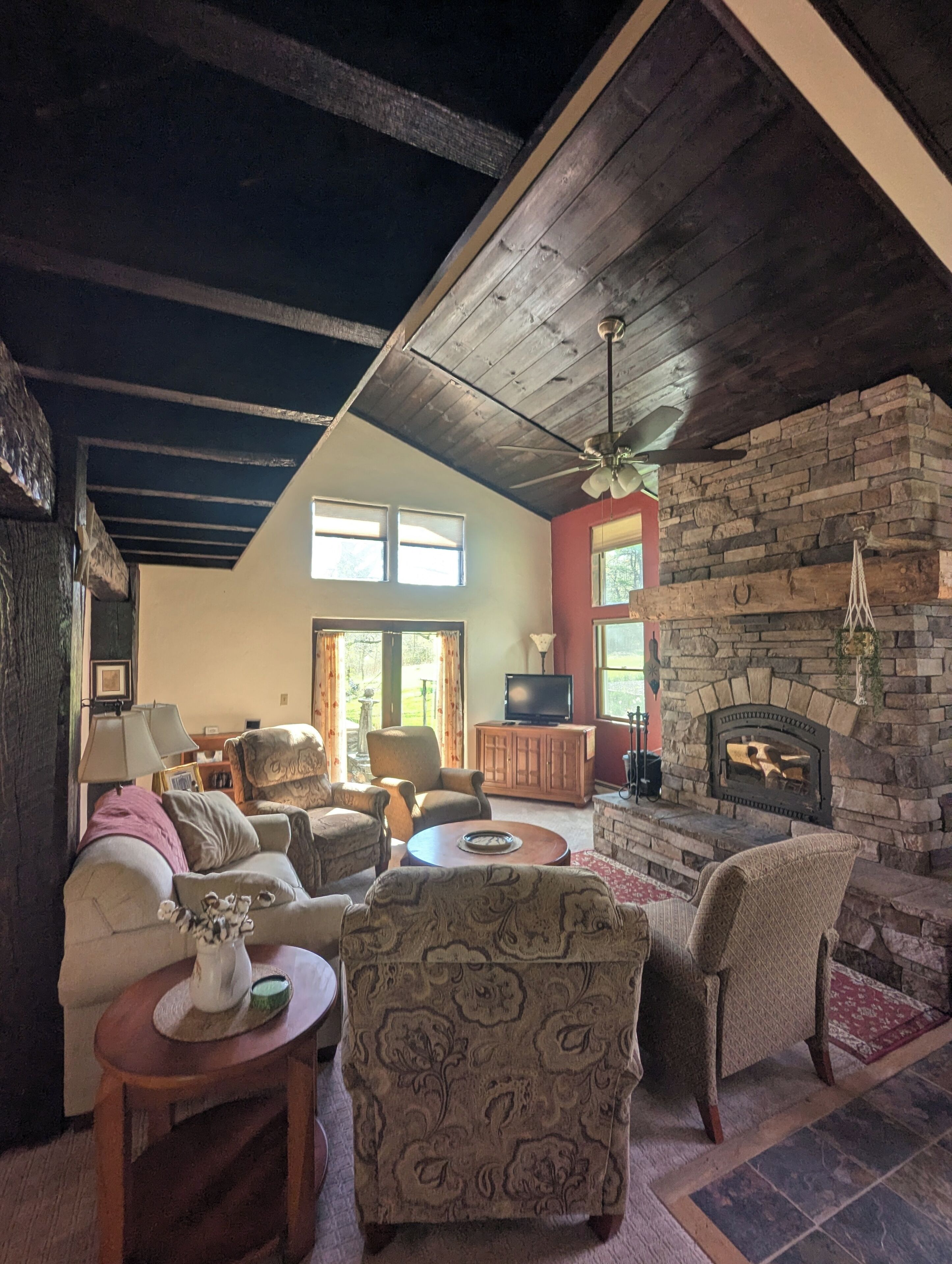 Smart TV, chimenea, reproductor de DVD y libros 