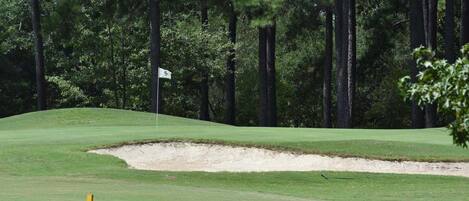 Condo, 1 Bedroom | Golf