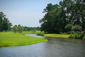 Eine friedliche Flusslandschaft mit einer grünen Wiese, Bäumen und ruhigem Wasser.