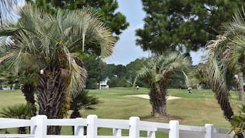 A golf course with palm trees and a white fence.