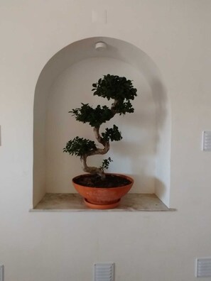 Interior - Quinta dos Pilotos (Caparica)