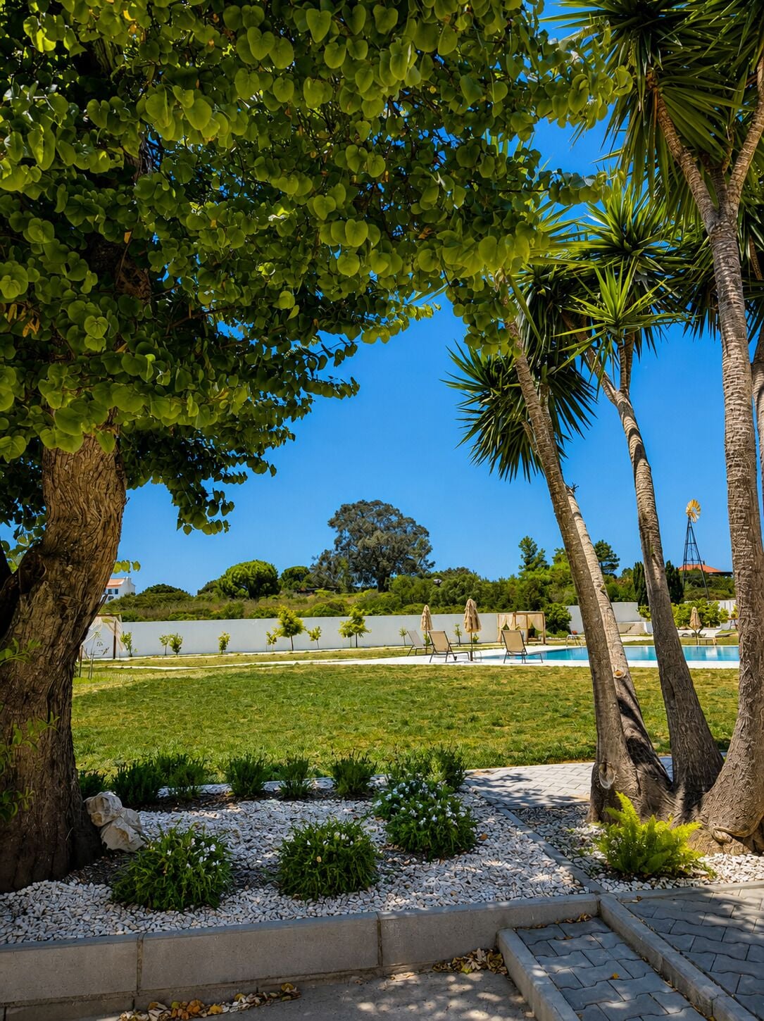 Un jardin aménagé avec une piscine, des palmiers et un ciel d’un bleu éclatant.
