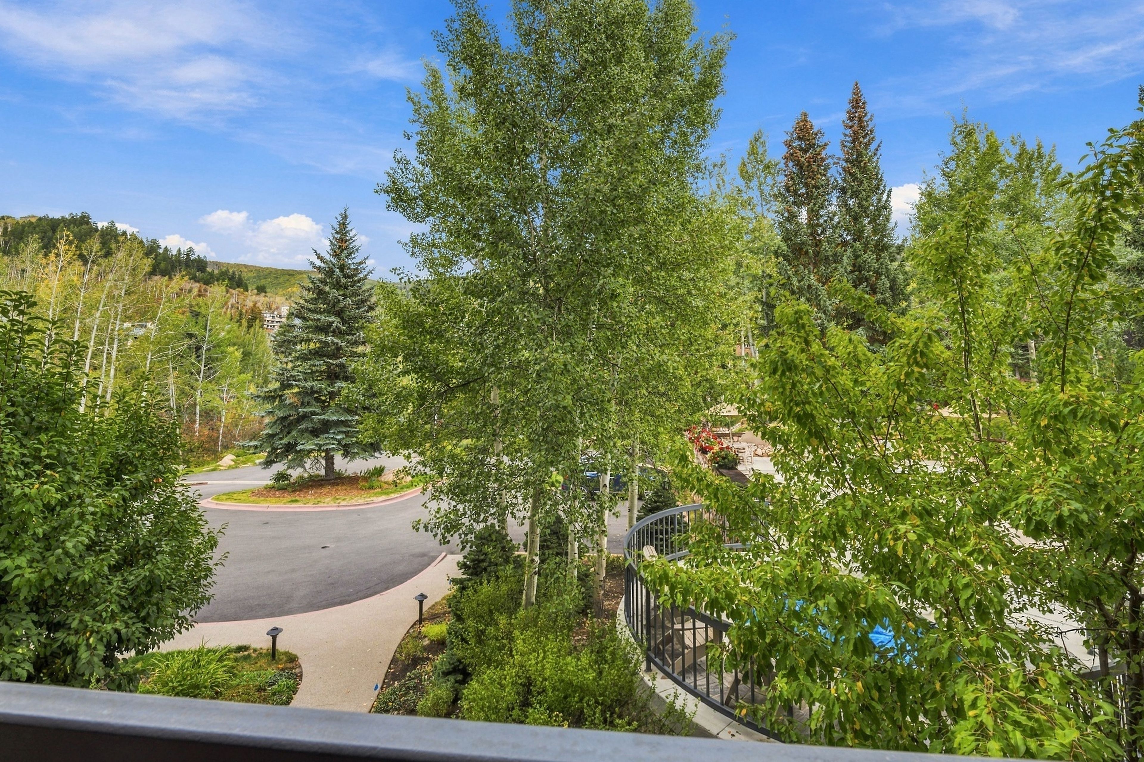 A residential area with a curved driveway, surrounded by dense greenery and trees.