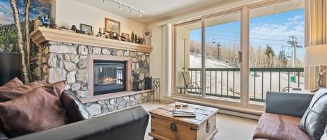 TV, fireplace, computer monitors, printers