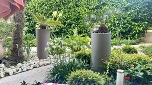 Un jardín con diversas plantas y un sendero.