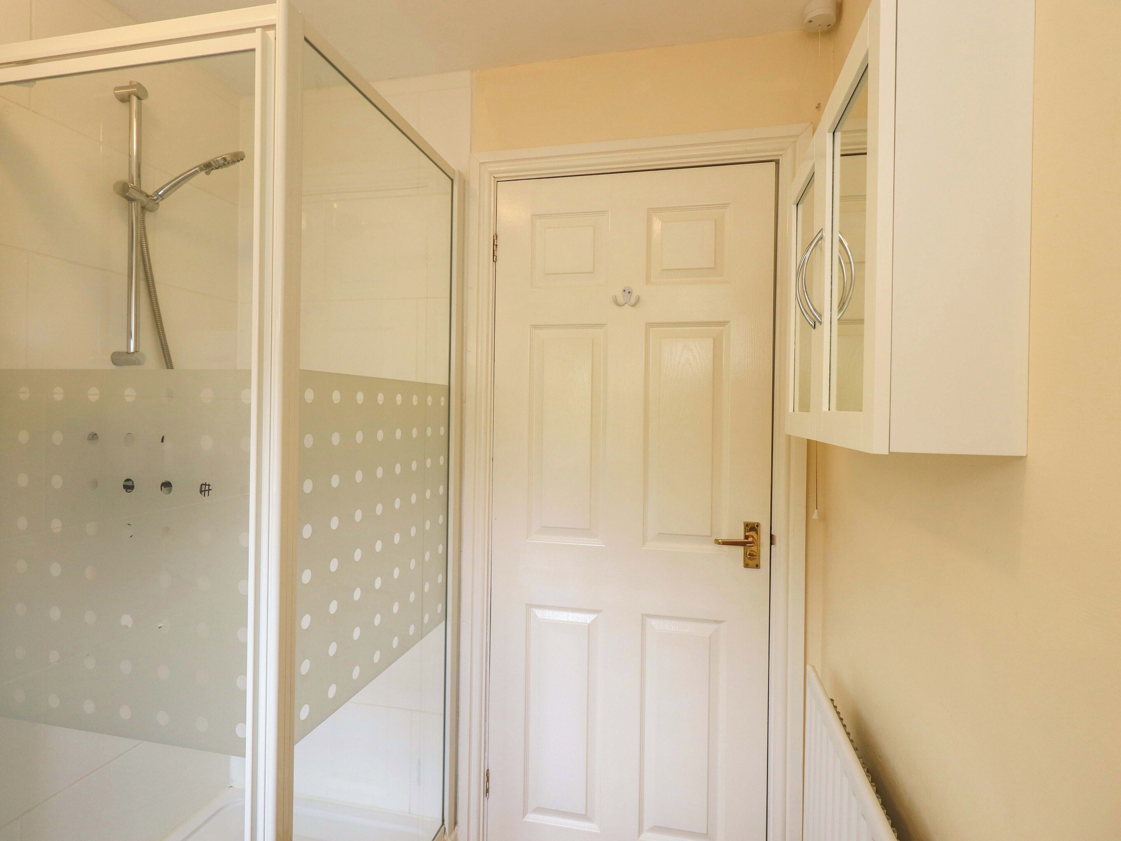 A bathroom with a shower, a white door, and a mirror.