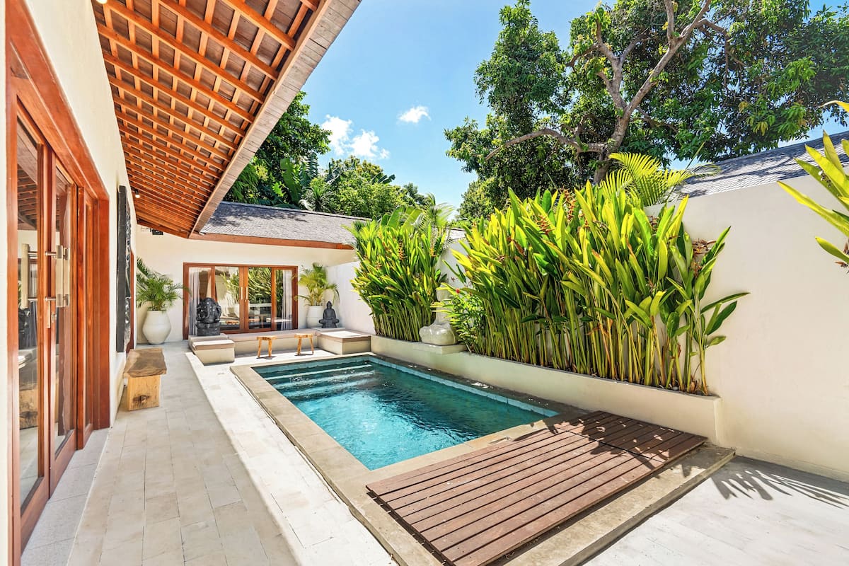 A swimming pool with a wooden deck, surrounded by lush greenery and a white wall.