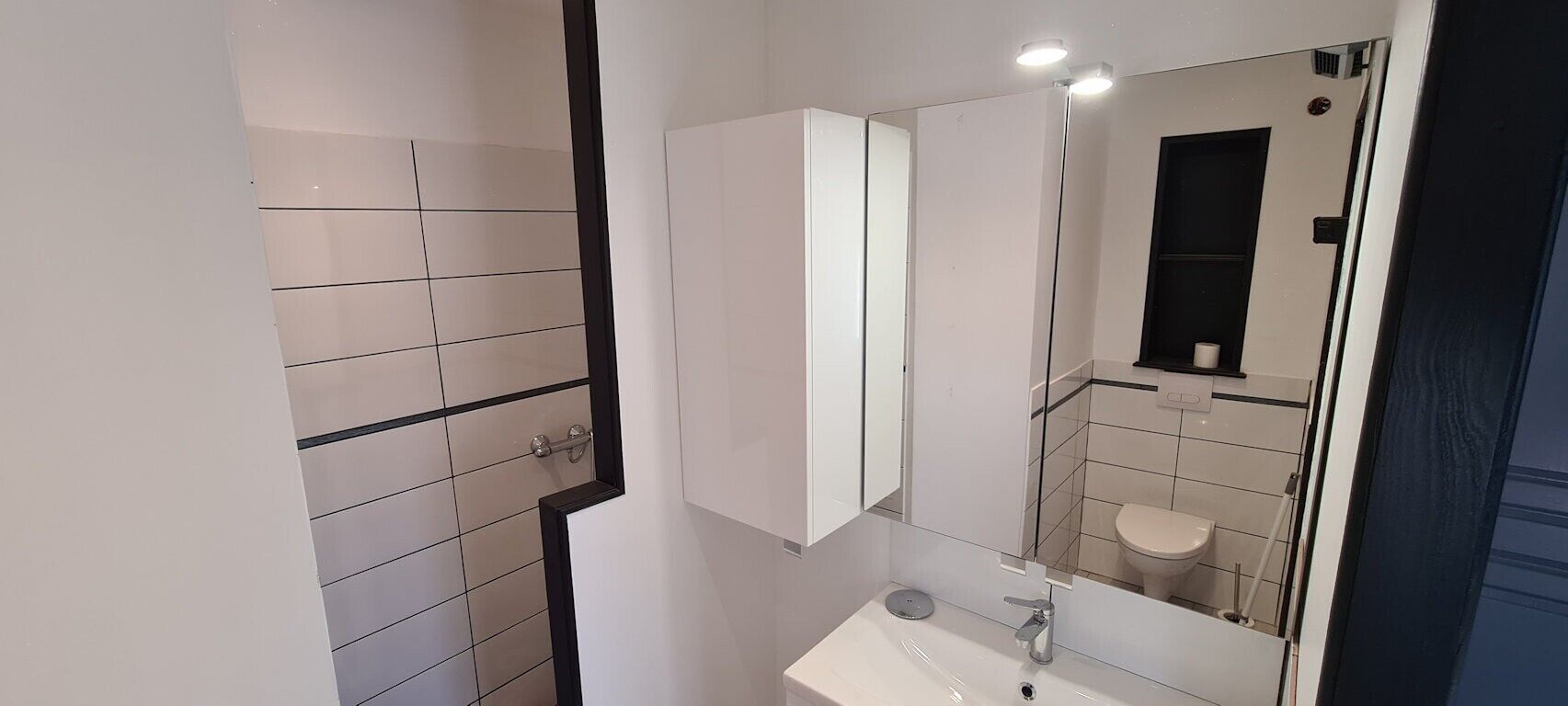 Shower, hair dryer
