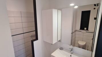 Shower, hair dryer