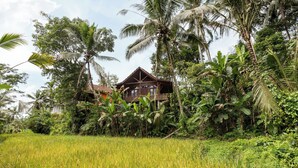 A wooden house surrounded by lush greenery and a rice field.