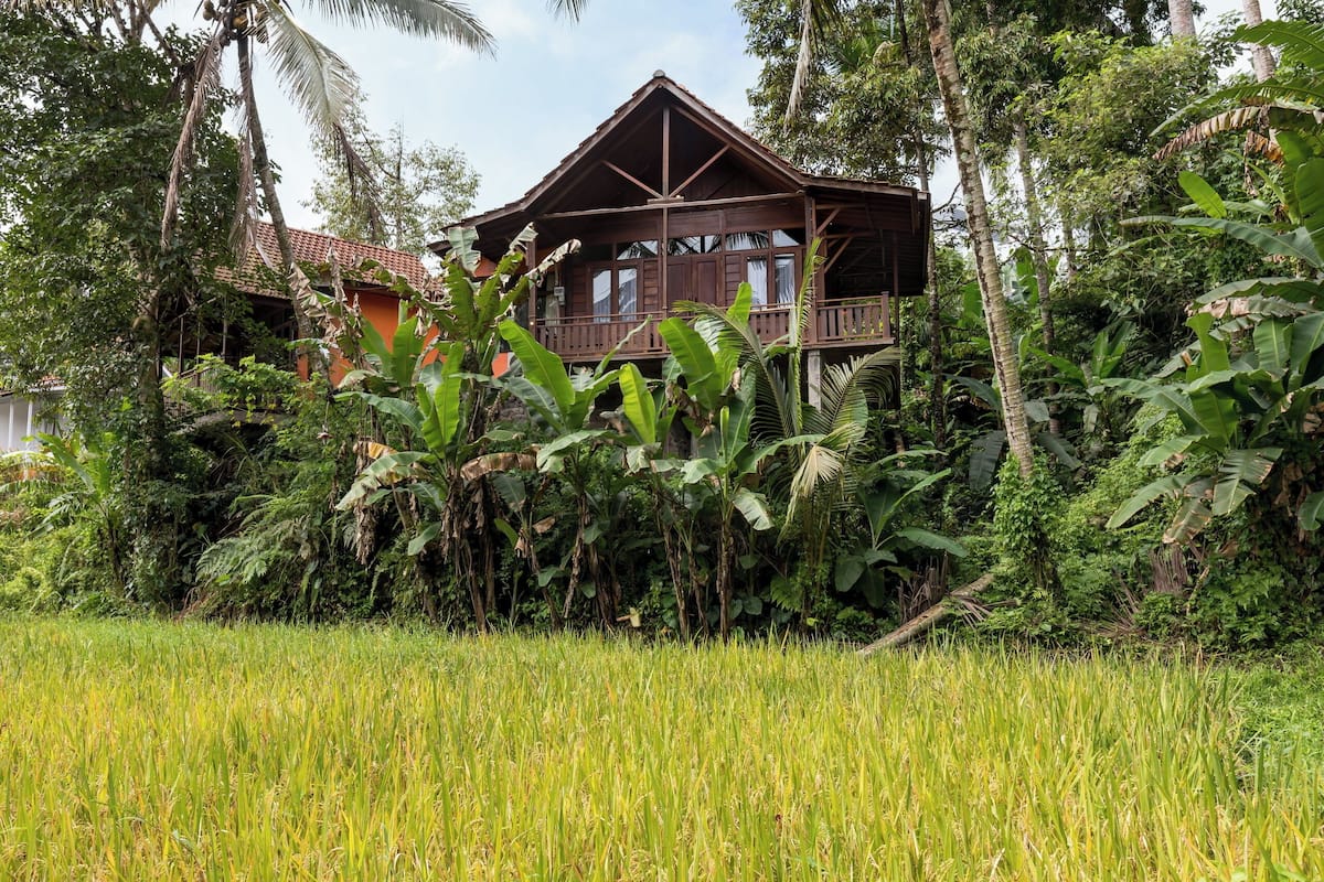 Una casa de madera con balcón, rodeada de exuberante vegetación y un campo de arroz.
