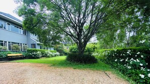 A gravel driveway leading to a building with a large tree in the center, surrounded by well-maintained hedges and flowering plants. - 46 on Allcock Guest Apartment & Suite (Pretoria)