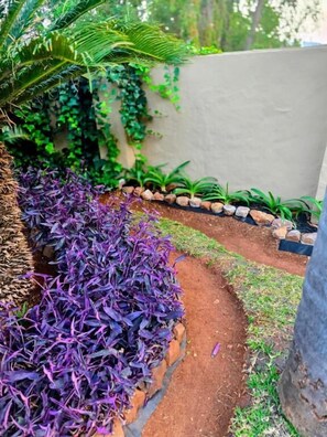 Habitació, 1 dormitori, vistes al jardí | Jardí