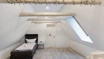 A small, modern bedroom with a sloped ceiling, a bed, a desk, and a skylight.