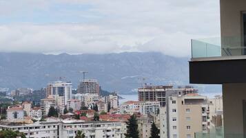 Family Apartment, Balcony, City View | View from property