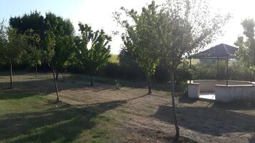 Parco della struttura