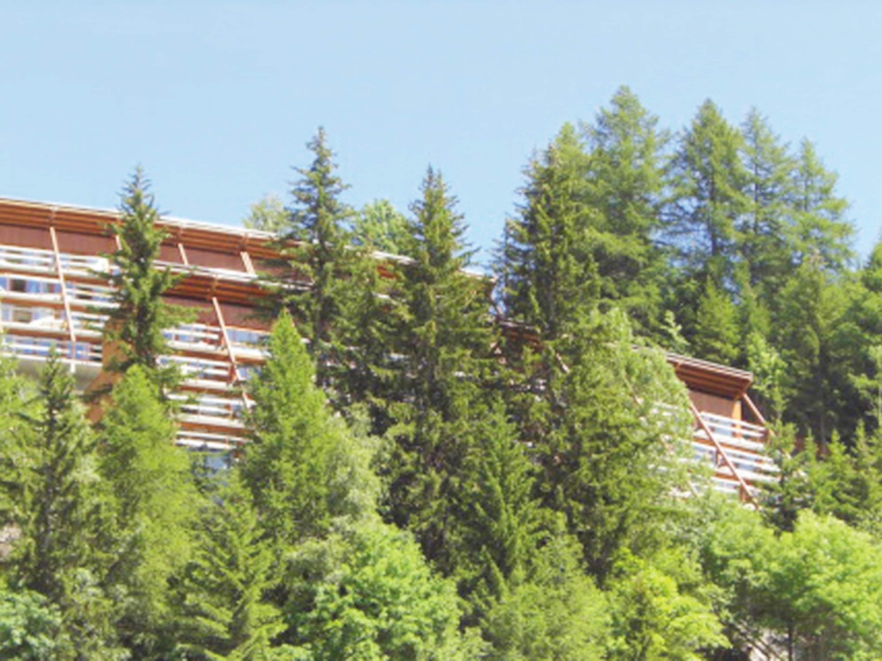 Un edificio a più piani circondato da alberi verdi e rigogliosi.