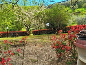 Property grounds - Cosy apartment for 5 guests with private pool, WIFI and pets allowed (Pontassieve)