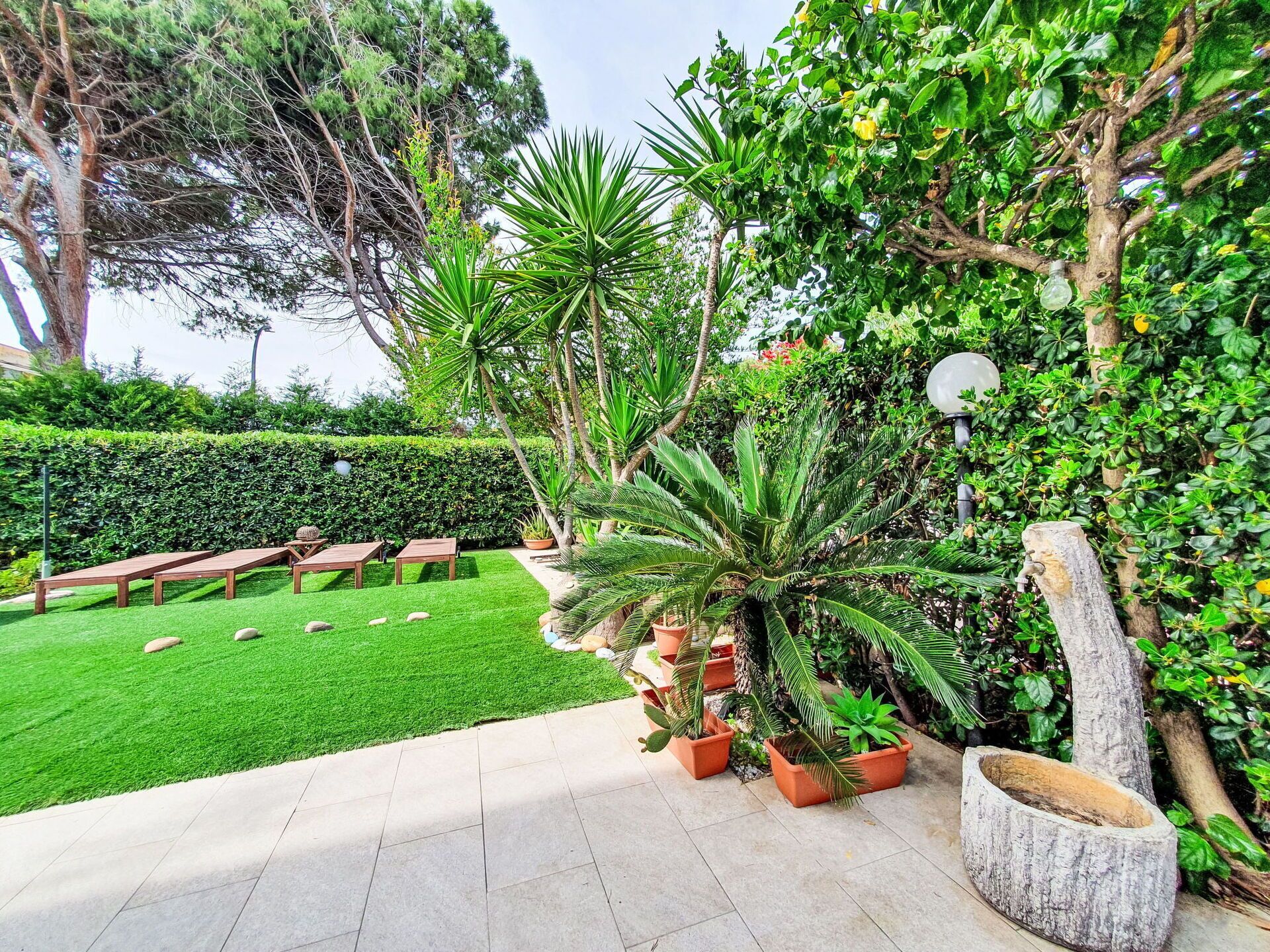 Grün, Blatt, Strauch, Garten, Landscaping, Gehölz, Rasen, Schatten, Garten