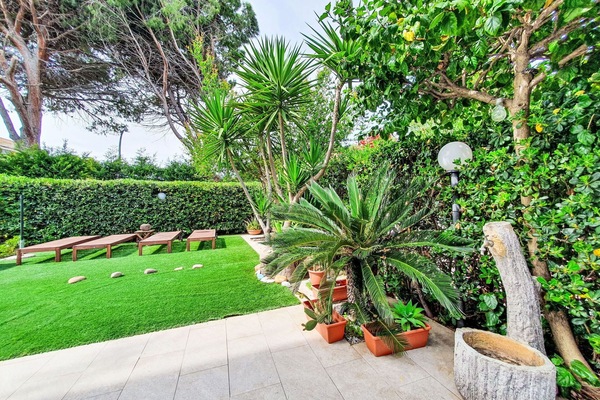 Grün, Blatt, Strauch, Garten, Landscaping, Gehölz, Rasen, Schatten, Garten
