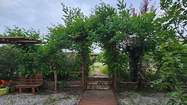 A wooden pathway leading through a garden with a pergola and a stone wall.