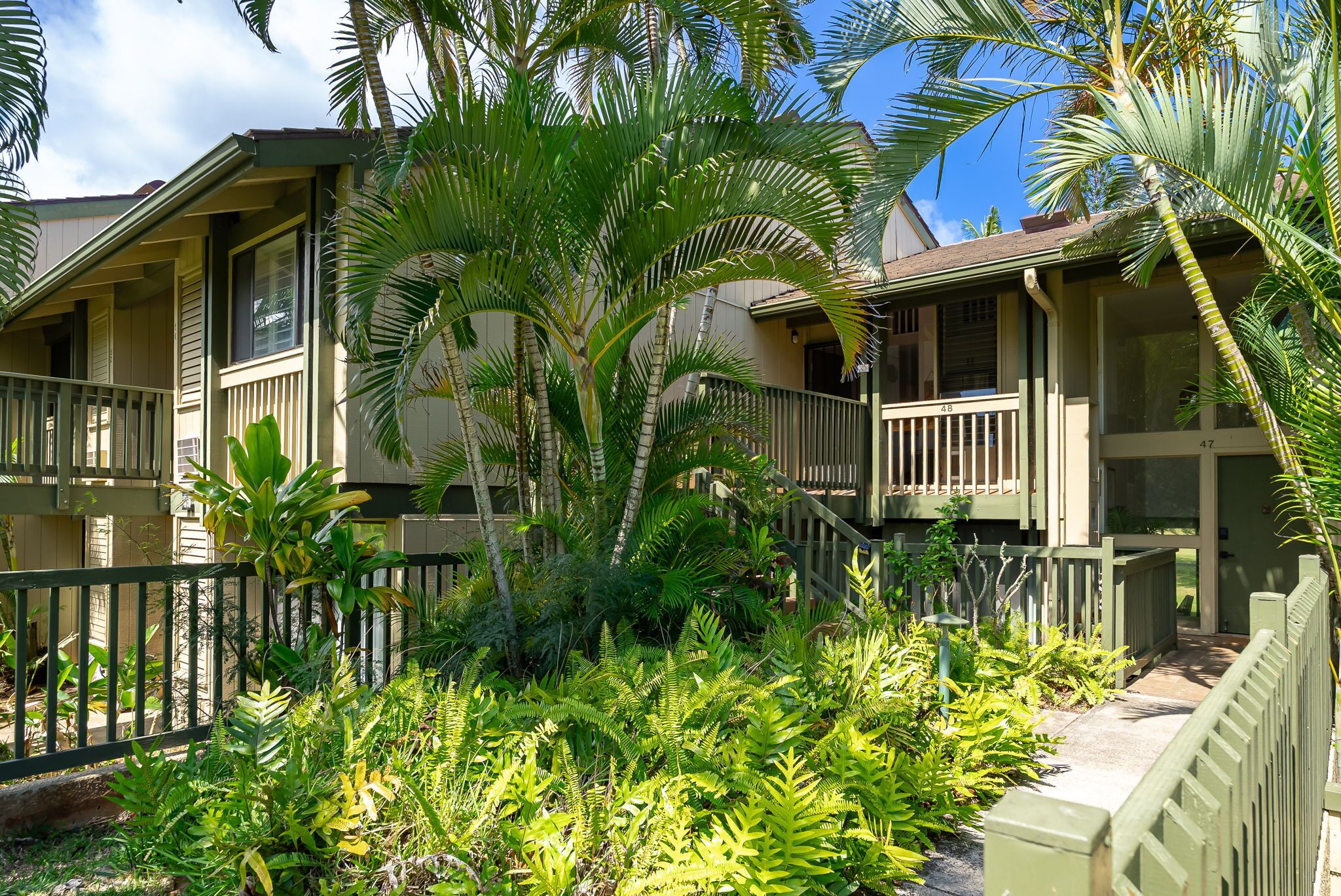 A tropical oasis welcomes you to this charming property, framed by lush palms and vibrant greenery beneath sunny skies.