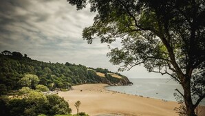 A beach with a curved shoreline, dense greenery, and a clear sky.