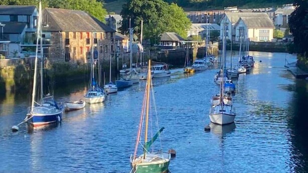 Ein Hafen mit mehreren Segelbooten, die am Wasser entlang liegen, umgeben von Gebäuden und Grünflächen.
