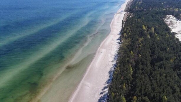 An aerial view of a beach with clear water, a sandy shore, and dense forest. - Large holiday home with a garden in Lubiatów (Lubiatowo)