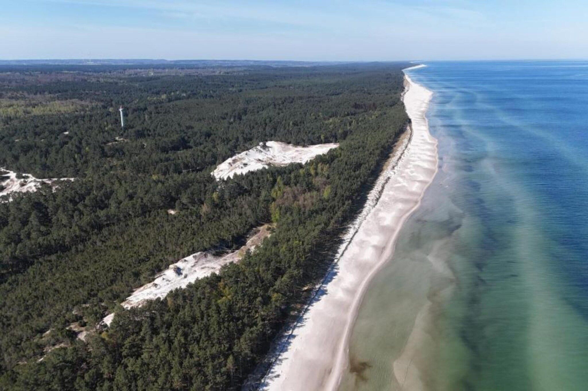Un paysage côtier comprenant une zone boisée et une plage de sable.