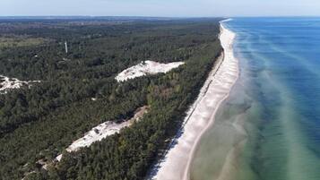 Un paysage côtier comprenant une zone boisée et une plage de sable.