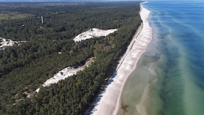 Paisagem costeira com área arborizada e praia arenosa.