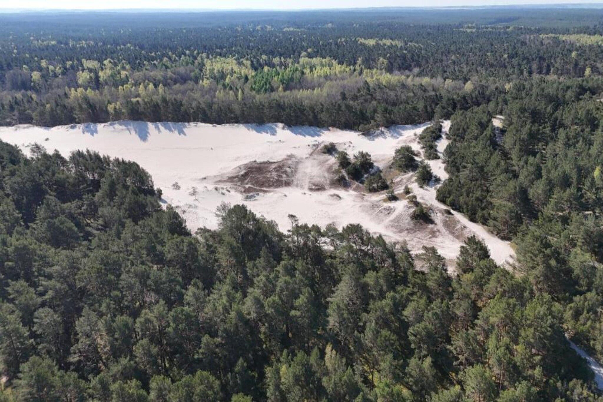 A forested area with a large open clearing.