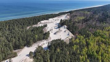 Vue aérienne d’une zone boisée, avec une plage et l’océan en arrière-plan.