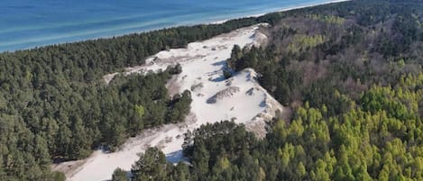 An aerial view of a forested area with a beach and ocean in the background.