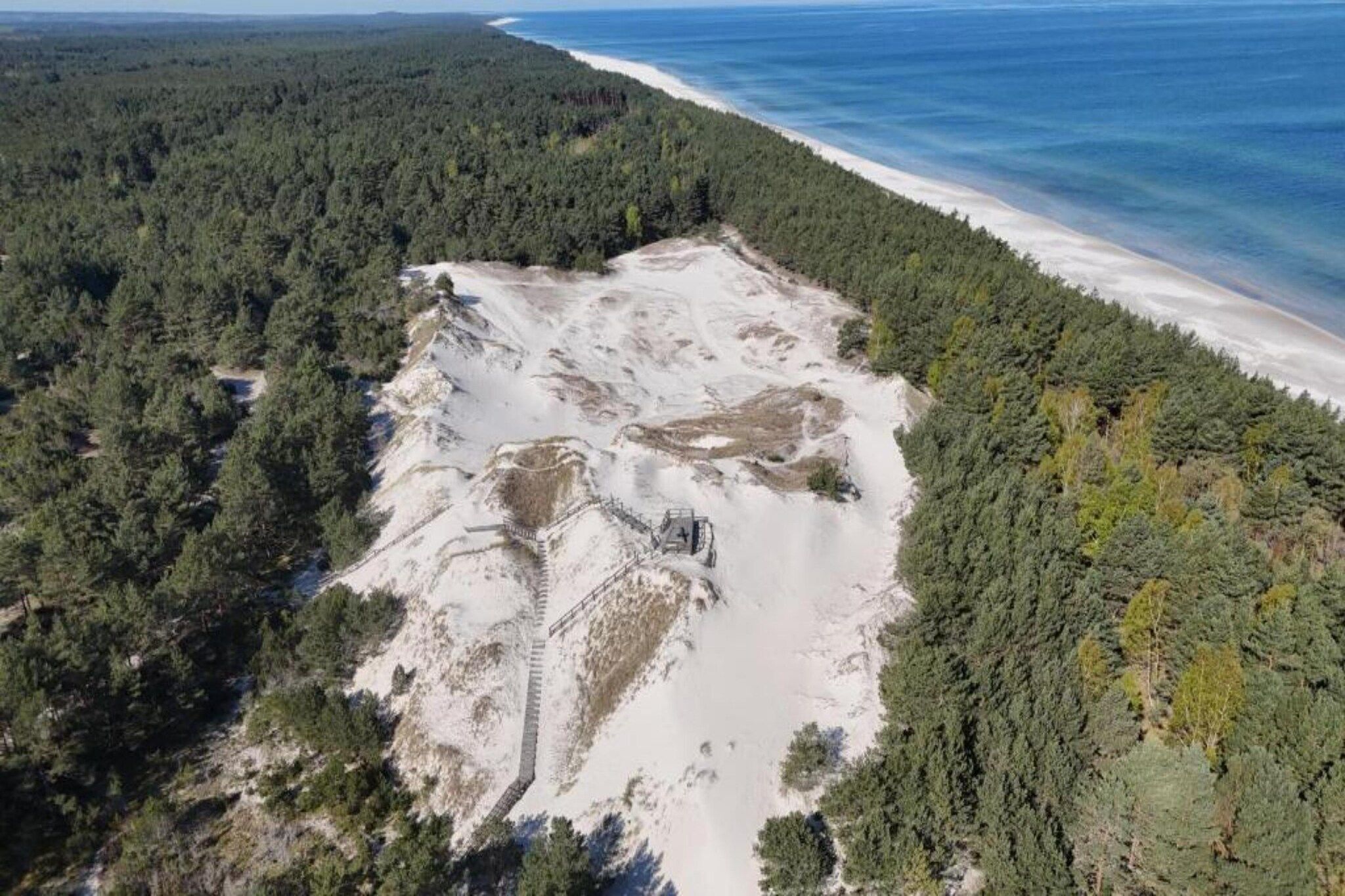 Vista aérea de una zona costera con playa, bosque denso y una sección de terreno despejado con una estructura.
