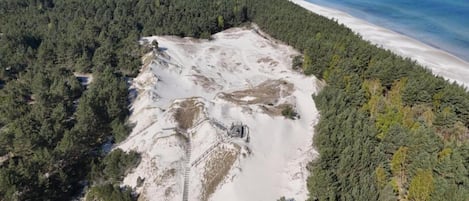 An aerial view of a coastal area with a beach, dense forest, and a cleared land section with a structure.