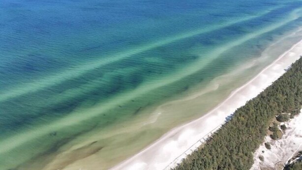 Vista aérea de una zona costera con aguas cristalinas, una playa de arena y un bosque denso.