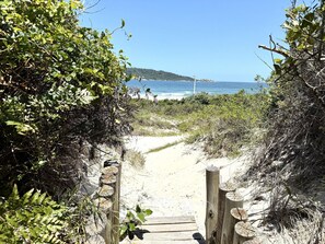 A sandy pathway leading to a beach with dense foliage on either side. - Foot in the Sand: private beach access | fast Wi-Fi (Florianópolis)