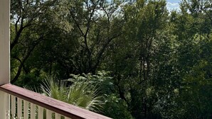 Un balcone con ringhiera affacciato su una fitta foresta e un cielo sereno con nuvole.