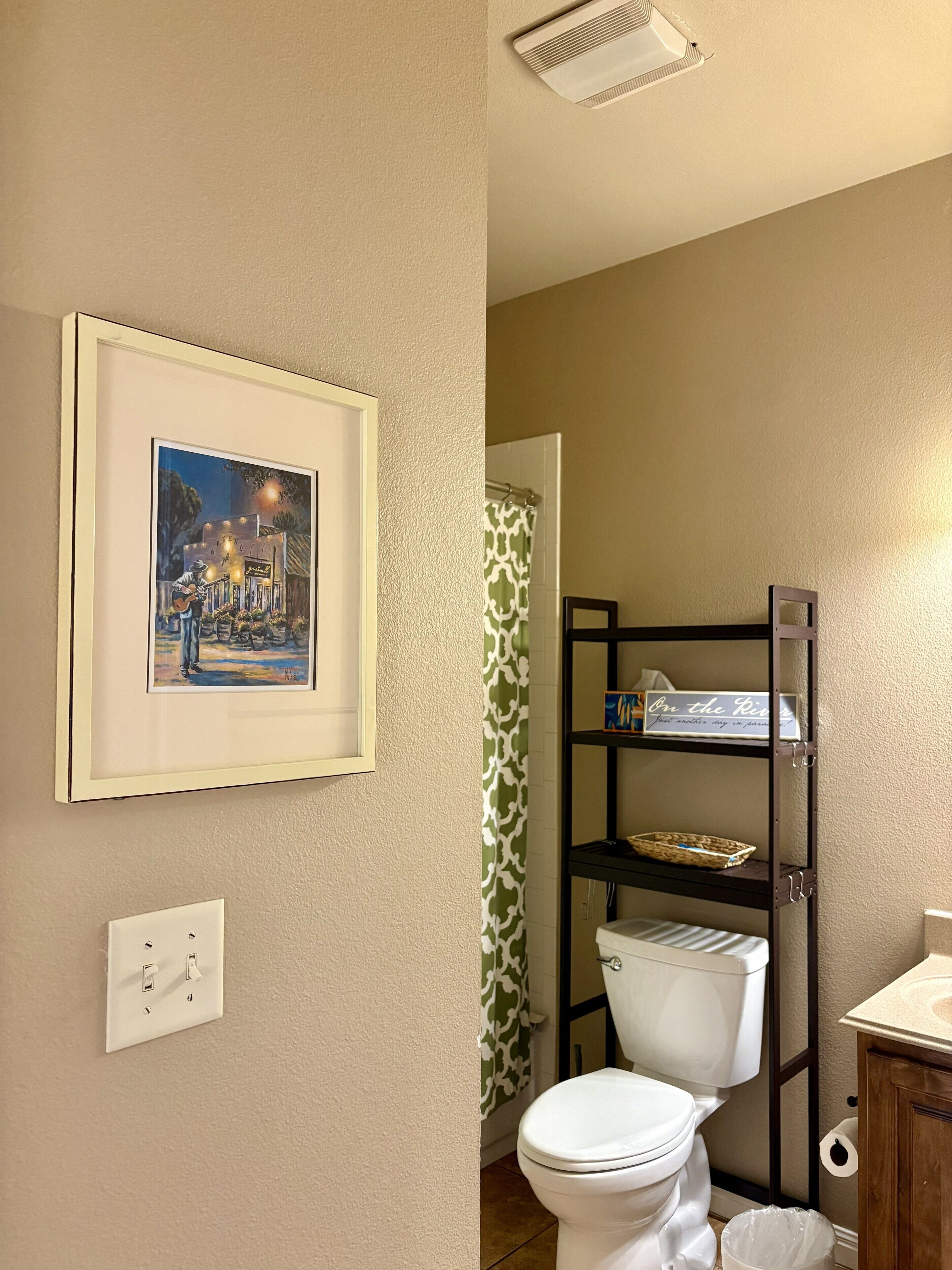 A bathroom with a toilet, a shelf unit, a framed picture, and a shower curtain.