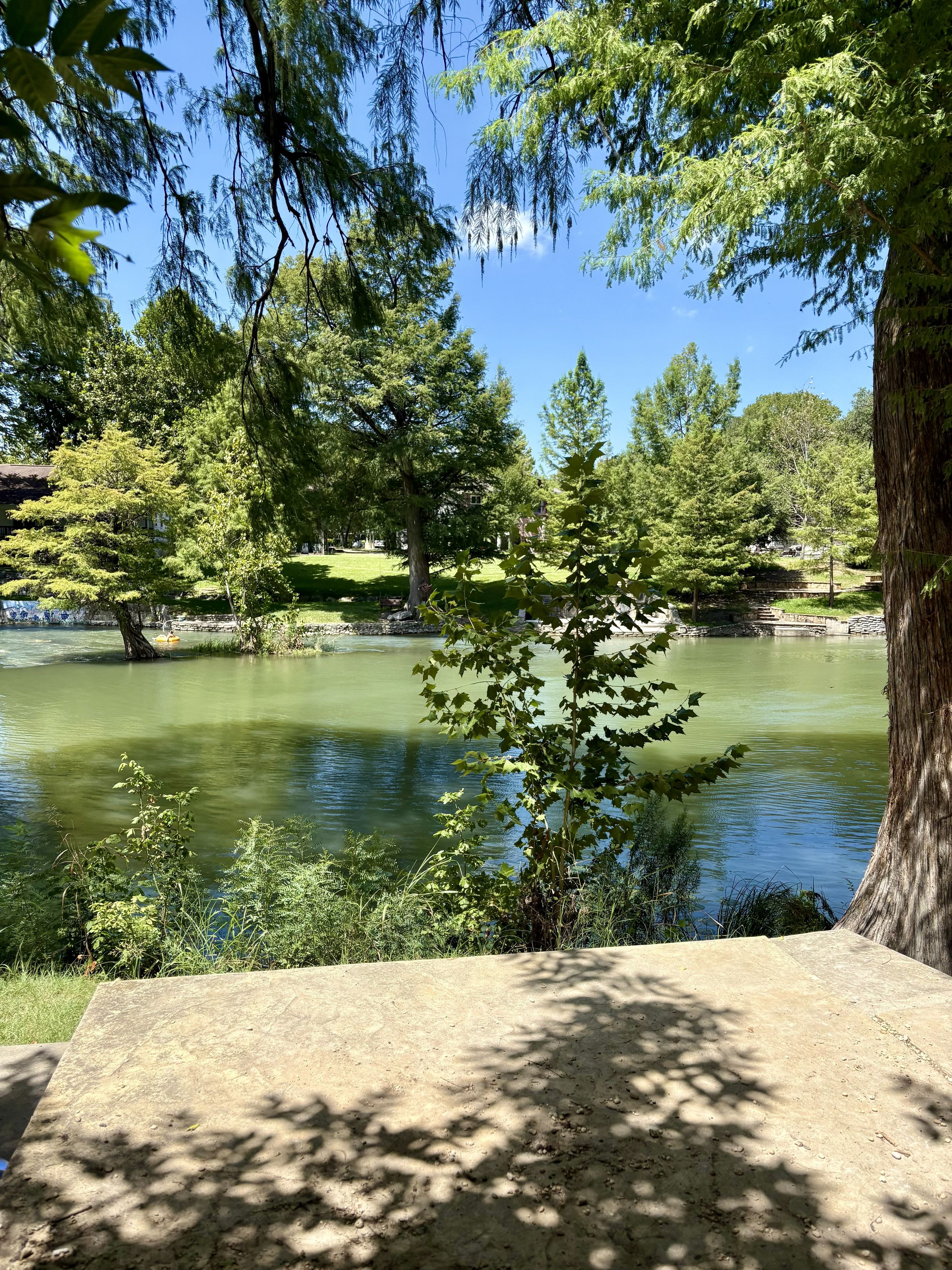 Un parc paisible avec un étang, des arbres et un ciel dégagé.