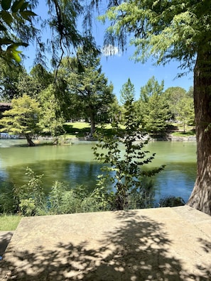 A serene park with a pond, trees, and a clear sky.